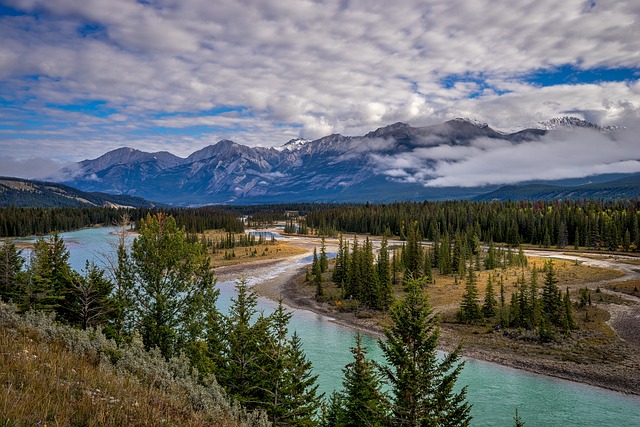 seguro-saude-canada-valor