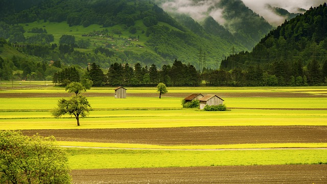 Seguro viagem Suíça: Tudo o que você precisa saber para uma viagem tranquila