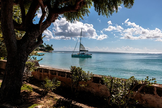 seguro viagem Barbados