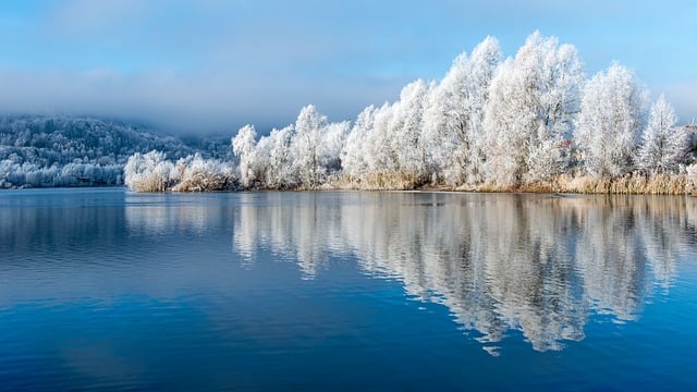 seguro viagem Nevada