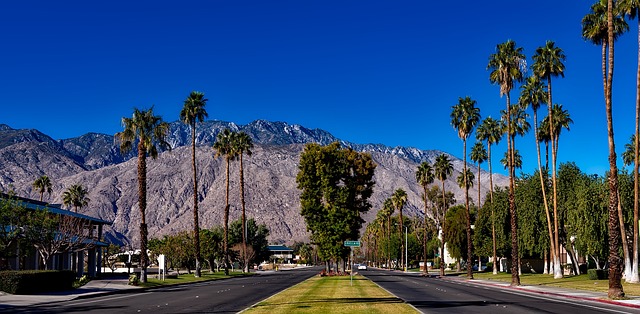 Seguro Viagem Palm Springs: Proteja suas Férias dos Imprevistos