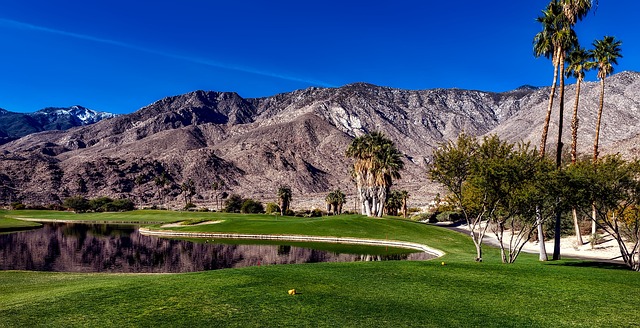 seguro-viagem-palm-springs