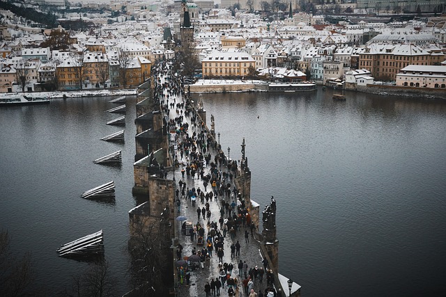 Qual o melhor seguro saúde para viagem internacional?