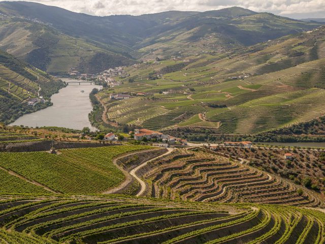 Seguro viagem para região do Douro: Proteja sua jornada!